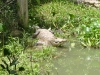 Belize 051